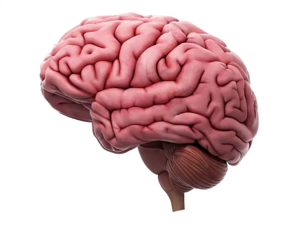 shutterstock 305273708 min 1024x768