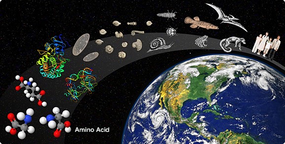 How was life originated on the Earth? 10 1